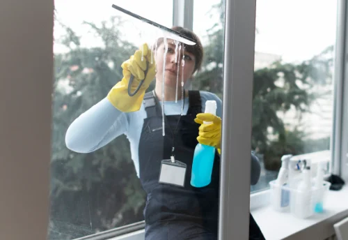 Nettoyage de vitres intérieures et extérieures au Frêche